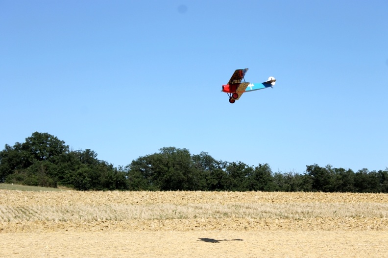Auriac_sur_Vendinelle_2018_9.jpg