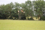 497A2101