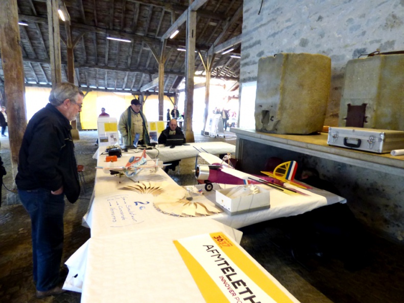 Telethon_2016_7.jpg