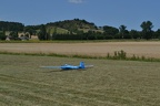 DSC 5877