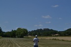 DSC 5878