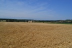 DSC 5953