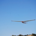 Alain28