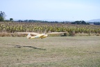Alain55