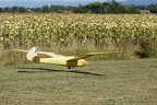 Frederic38