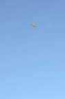 dsc 0528