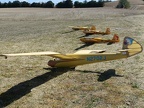 IMG-20220919-WA0015